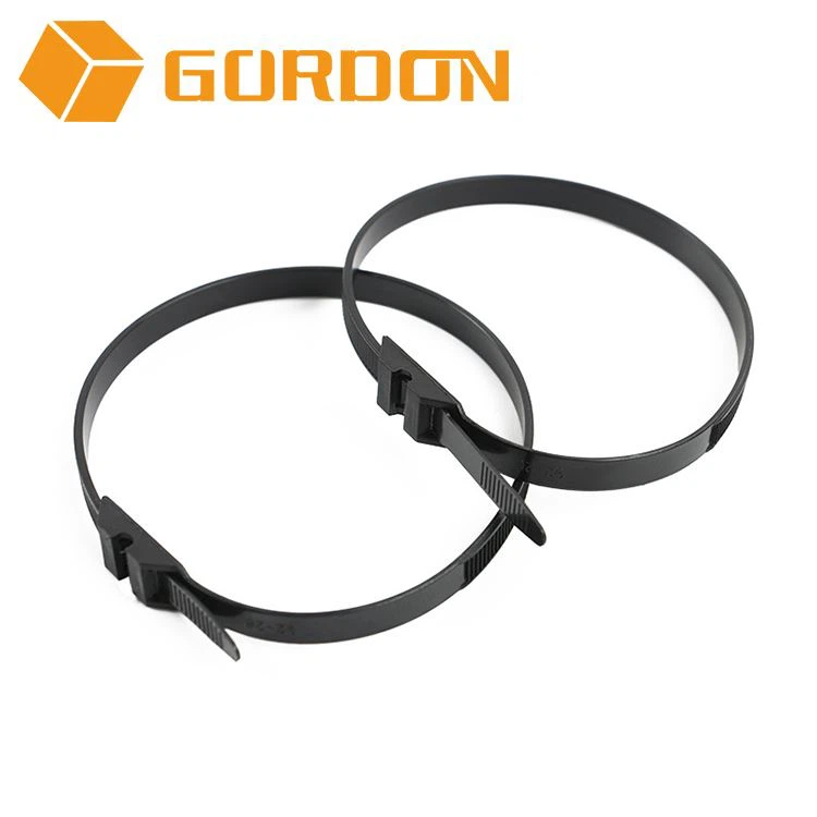 2 Double Locking Cable Tie