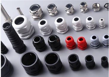 Cable Gland