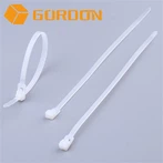 Cable Ties With Mounting Holes