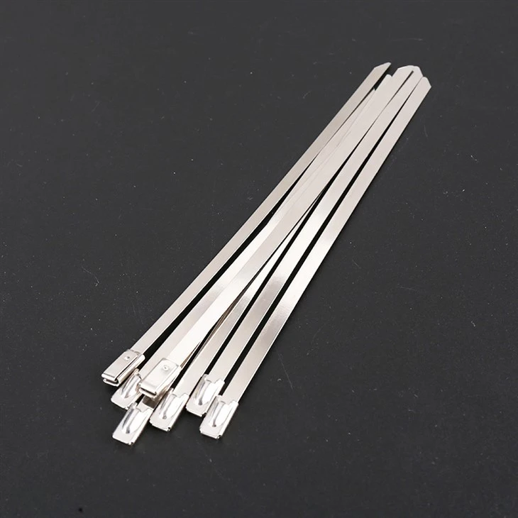 Rust Proof Stainless Steel Cable Tie